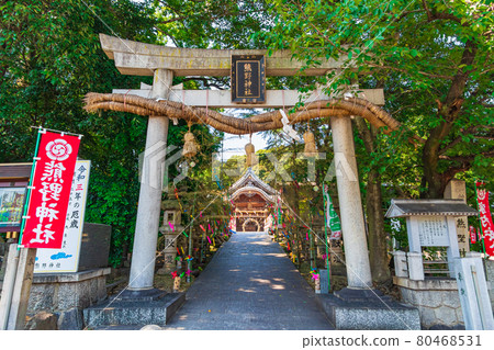 熊野神社，參道上閃閃發光的七夕裝飾（愛知縣東海市） 80468531
