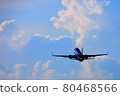 起飛 B737 80468566