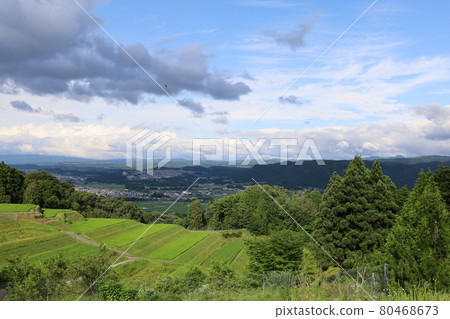 Scenery of rice terraces 80468673
