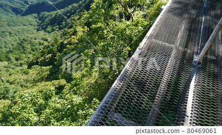 Scenery of Mt. Ishizuchi mountain trail 80469061