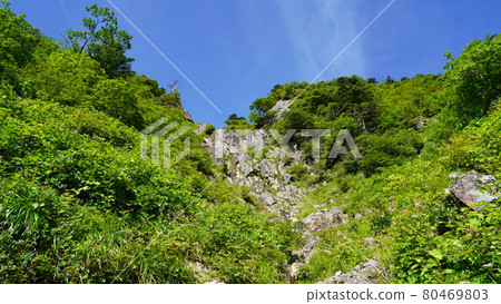 Scenery of Mt. Ishizuchi mountain trail 80469803
