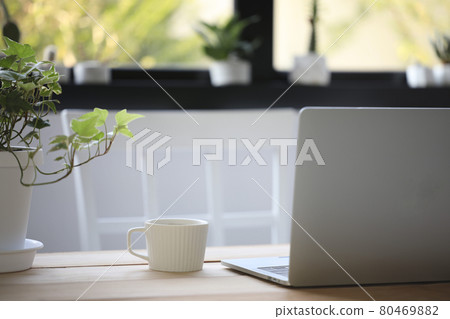 White coffee cup and laptop on table and plant pot in front of window White coffee cup and laptop on table and plant pot in front of window 80469882