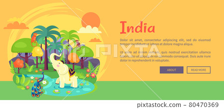Indian Jungle with Tall Trees and Exotic Animals Indian Jungle with Tall Trees and Exotic Animals 80470369