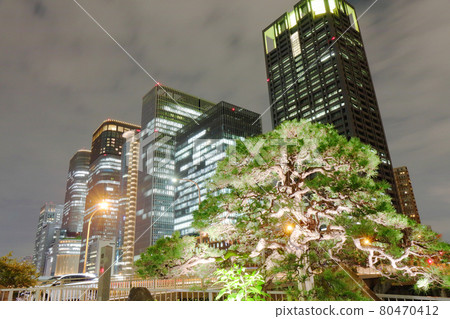 大阪的夜景：塔之橋的建築物和松樹 80470412