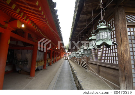 Kasuga Taisha hanging lantern Kasuga Taisha hanging lantern 80470559