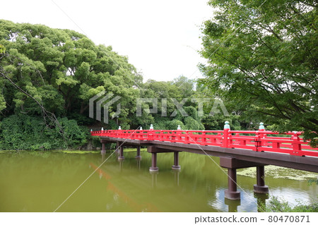 大阪天王寺公園河藏小池喚醒橋 大阪天王寺公園河藏小池喚醒橋 80470871