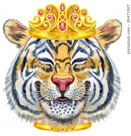 Colorful orange smiling tiger with golden crown. Wild animal watercolor illustration on white background Colorful orange smiling tiger with golden crown. Wild animal watercolor illustration on white background 80471007