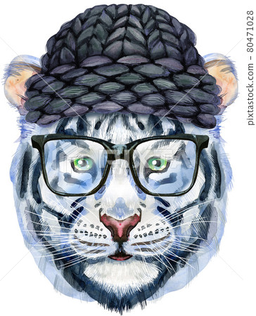 Colorful white tiger in a knitted black hat and glasses. Wild animal watercolor illustration on white background Colorful white tiger in a knitted black hat and glasses. Wild animal watercolor illustration on white background 80471028