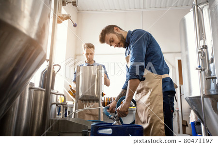 Small family business, modern brewery, craft beverage production and packaging alcohol drink on plant Small family business, modern brewery, craft beverage production and packaging alcohol drink on plant 80471197