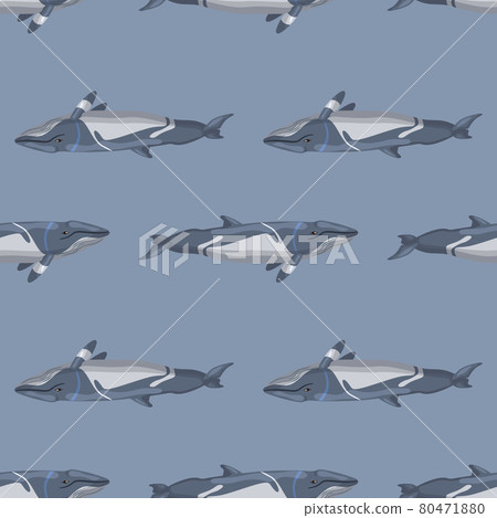Seamless pattern lesser rorqual on gray background. Template of cartoon character of ocean for fabric. Seamless pattern lesser rorqual on gray background. Template of cartoon character of ocean for fabric. 80471880
