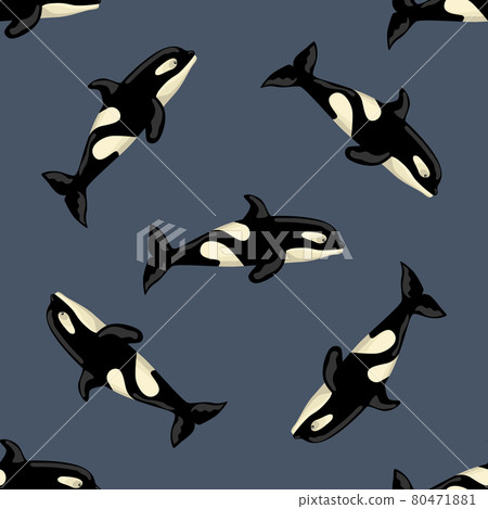 Seamless pattern Orca on dark background. Template of cartoon character of ocean for children. Seamless pattern Orca on dark background. Template of cartoon character of ocean for children. 80471881