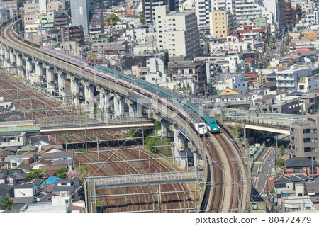 [View from Prince's North Topia: Tohoku Shinkansen E5 Series and E2 Series Separation] 80472479