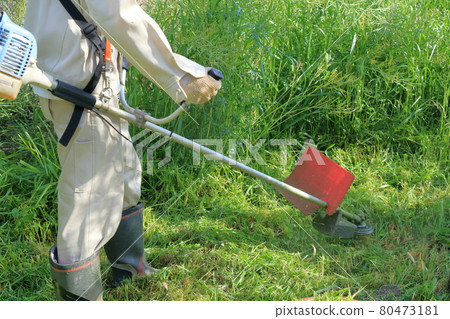 Mowing work (mowing machine engine type mowing machine) 80473181