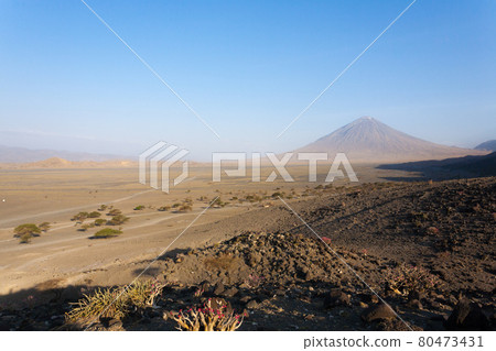 Lake Natron area landscape, Tanzania, Africa. Ol Doinyo Lengai volcano 80473431