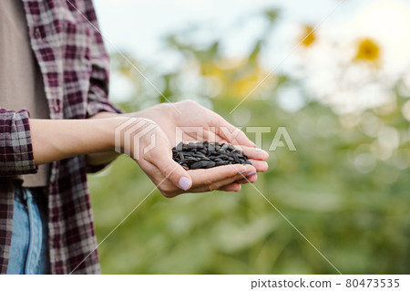 Mature brunette female in beanie and casualwear taking fresh sunflower seeds Mature brunette female in beanie and casualwear taking fresh sunflower seeds 80473535
