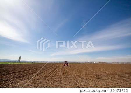 tractor sowing of seed to field at spring time 80473735