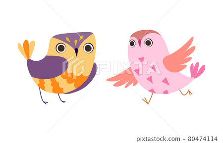 Funny Adorable Colorful Owl Birds Set, Lovely Owlets Cartoon Vector Illustration 80474114