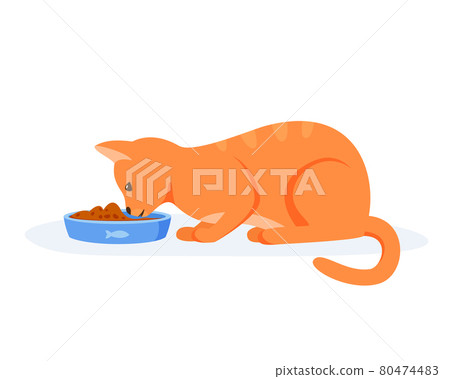 Hungry cat eating food from bowl. Red domestic cat having good appetite. Feeding pet with kibble or wet food. Flat style vector Hungry cat eating food from bowl. Red domestic cat having good appetite. Feeding pet with kibble or wet food. Flat style vector 80474483