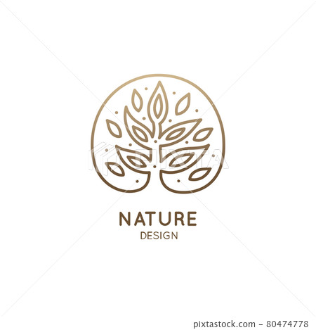 Tropical jungle tree Tropical jungle tree 80474778