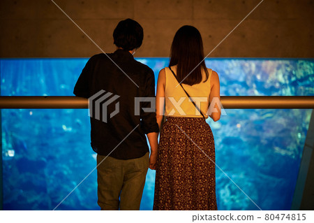一對年輕夫婦在水族館約會時看魚和生物 80474815