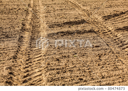 Heavy vehicle (tractor) tire track print in dry field, lit by sun. 80474873