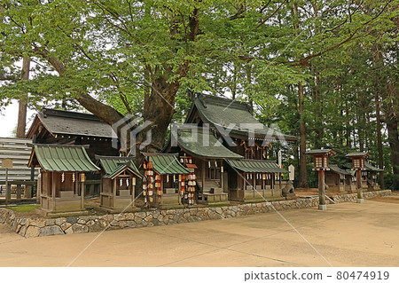 Hotaka Shrine (Azumino) 80474919