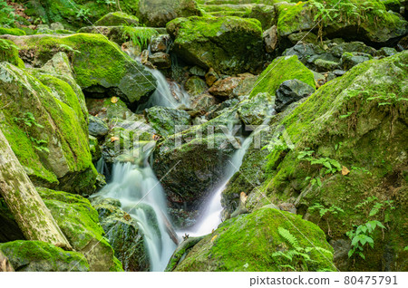 Rock garden slow shutter on Mt. Mitake hiking course 80475791