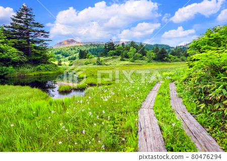 Hogadaira沼澤地和草津白蘭山1 80476294