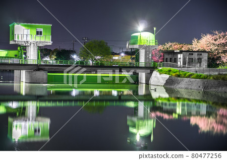 二級河流:水尾川水閘和夜晚的櫻花(兵庫縣姬路市鹿丸區今齋)※作品評論區拍攝位置 二級河流:水尾川水閘和夜晚的櫻花(兵庫縣姬路市鹿丸區今齋)※作品評論區拍攝位置 80477256