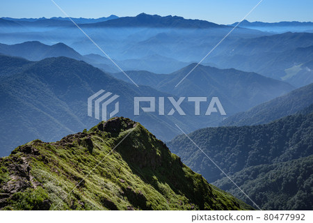Asagiri and Mt. Tanigawa Nishikuro Ridge Asagiri and Mt. Tanigawa Nishikuro Ridge 80477992