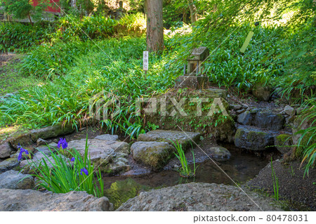 妙義神社區域步行水神社 80478031