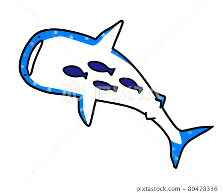 Illustration of a whale shark seen from below with a remora 80478336