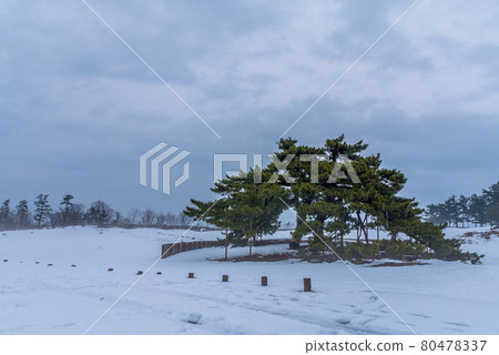 Winter scenery 80478337
