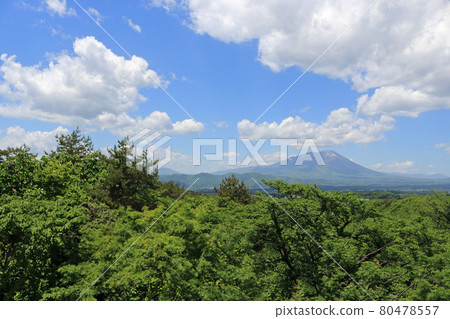 Mt. Iwate in early summer seen from Matsuzono Observatory 80478557