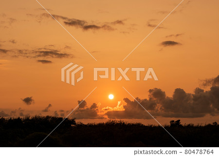 Gorgeous sunrise on horizon, sky and sea in orange color. Iriomote Island. Gorgeous sunrise on horizon, sky and sea in orange color. Iriomote Island. 80478764
