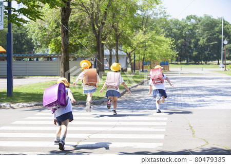 4 elementary school students crossing the pedestrian crossing 80479385