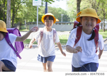 4 elementary school students crossing the pedestrian crossing 80479388