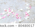 花灑後的花瓣 80480017