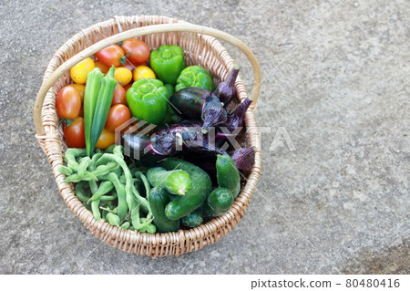 家庭菜園：收穫夏季蔬菜 80480416