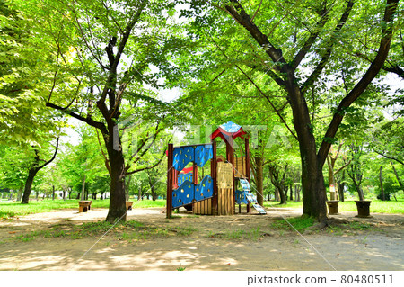 Around Higashi-Ayase Park Children's Corner (Adachi-ku, Tokyo) [2021.7] 80480511
