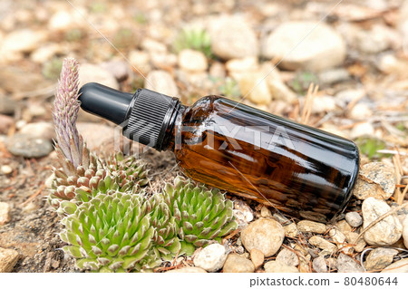 One brown glass dropper bottle with serum, essential oil or other cosmetic product and succulent flowers outdoors. Natural Organic Spa Cosmetic Beauty concept One brown glass dropper bottle with serum, essential oil or other cosmetic product and succulent flowers outdoors. Natural Organic Spa Cosmetic Beauty concept 80480644