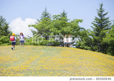 孩子們在蒲公英山上玩耍 孩子們在蒲公英山上玩耍 80480646