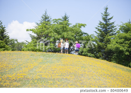 Children playing on the dandelion hills Children playing on the dandelion hills 80480649