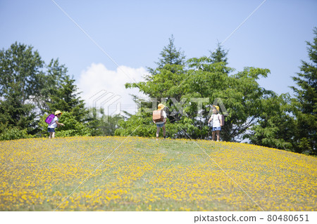 孩子們在蒲公英山上玩耍 孩子們在蒲公英山上玩耍 80480651