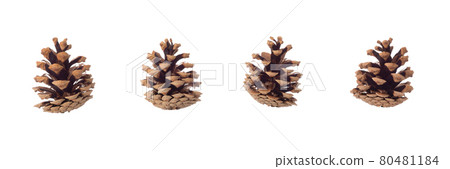 Christmas pine cone isolated on white background. Christmas and New Year holiday concept photo. Christmas pine cone isolated on white background. Christmas and New Year holiday concept photo. 80481184