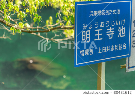 Fresh green Myouji Pond (Hyogo Prefecture Ordinance Reservoir) Signboard (Maenosho, Yumesaki-cho, Himeji City, Hyogo Prefecture) * Shooting position in the comment section of the work 80481612