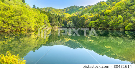 Fresh green Myouji Pond (Hyogo Prefecture Ordinance Reservoir) (Maenosho, Yumesaki-cho, Himeji City, Hyogo Prefecture) * Shooting position in the comment section of the work 80481614