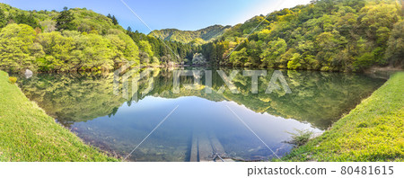 Fresh green Myouji Pond (Hyogo Prefecture Ordinance Reservoir) (Maenosho, Yumesaki-cho, Himeji City, Hyogo Prefecture) * Shooting position in the comment section of the work 80481615