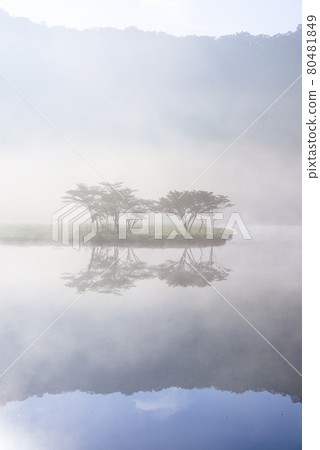 Akagiyama, Kakumanbuchi surrounded by morning mist [Gunma Prefecture] 80481849