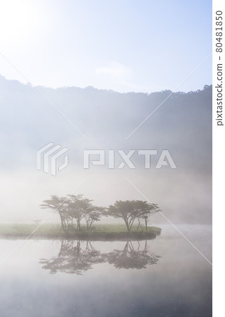 Akagiyama, Kakumanbuchi surrounded by morning mist [Gunma Prefecture] 80481850